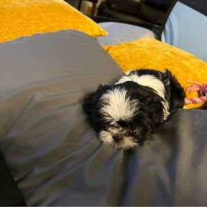 Meet your Posher, Andy